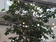-大树餐厅(红旗街万达店)