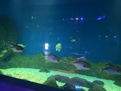 -大连圣亚海洋世界