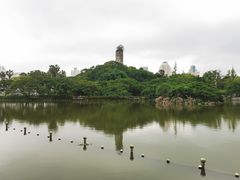 -江心屿景区