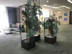 点击看大图 -北京炫美医疗美容