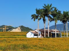 -光明小镇欢乐田园