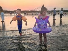 -日照海滨国家森林公园