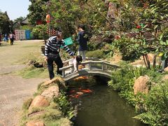 景观位-绿华园休闲山庄