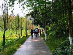 -重庆彩云湖湿地公园