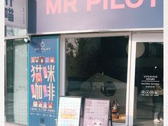 -飞行喵MR PILOT|猫舍·猫咖(静安大融城店)