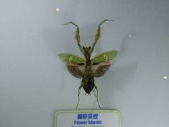 -香港科学馆