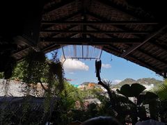 -自然餐厅(Phuket)
