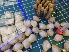 -巧克力渔家.小船海鲜家常菜(三浴场店)