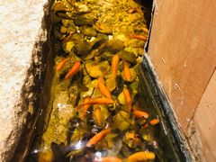 -邈墨茶馆(凤起路店)