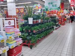-大润发(张江店)