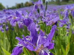 -汉长安城未央宫国家考古遗址公园