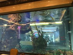 -碧桂园凤凰城酒店(南京店)