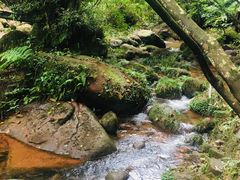 -赤水丹霞旅游区·佛光岩