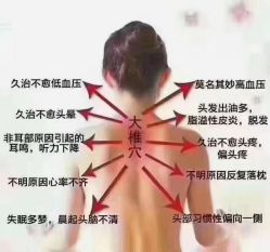 -希梵尔头皮抗衰·科技养发