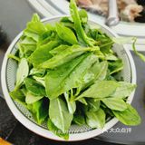 柴火灶啤酒鱼