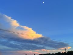 -佛手湖郊野公园