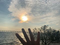 -宝安西湾红树林湿地公园