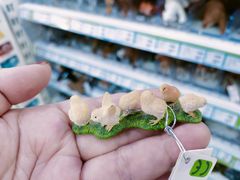-TOYSRUS玩具反斗城(正大广场店)