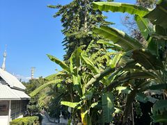 -孔雀湖生态旅游区