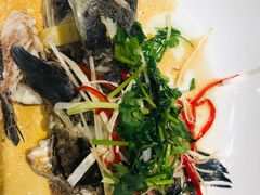 -盒马鲜生(领丰汇店)