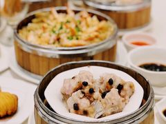 豉汁蒜香蒸排骨-凤凰楼酒家·粤宴点心(华强北店)