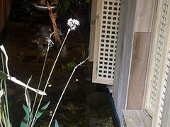 -邈墨茶馆(凤起路店)