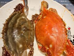 -初色海鲜自助(万丰路店)