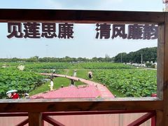 -嘉北郊野公园