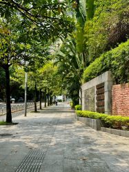 -章光101防脱养发荟