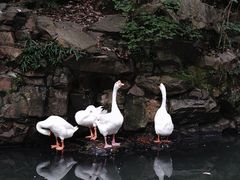 -兰亭风景区