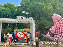 -金鸡湖桃花岛