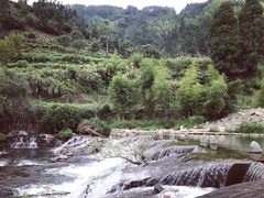 -石台牯牛降景区