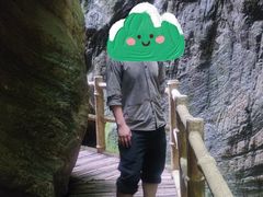 -牛背梁国家森林公园