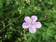 -白草畔自然风景区