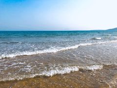 -大锅强·蒸海鲜青岛菜(吾悦广场店)