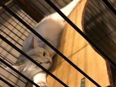 -津菜宋记老房子(鼓楼店)