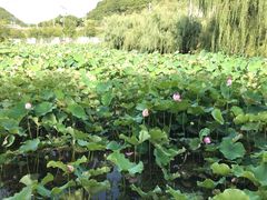 -贵阳蓬莱仙界