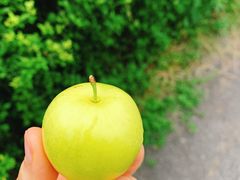 -贵阳蓬莱仙界