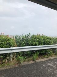 -水八仙生态园