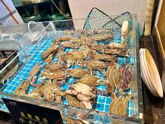 -九月海·海鲜自助(世纪东方店)