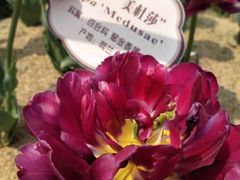 -江南大学(蠡湖校区)