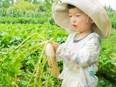 -前小桔亲子创意农场·草莓采摘·露营烧烤