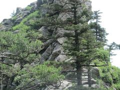 景点-朱雀国家森林公园