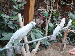 -南宫五洲植物乐园