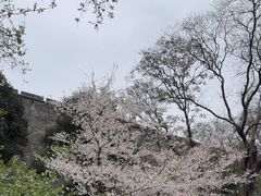 -南京城墙景区