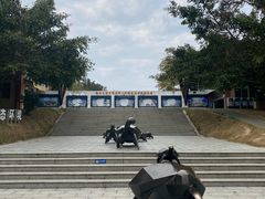 -广东惠东海龟国家级自然保护区