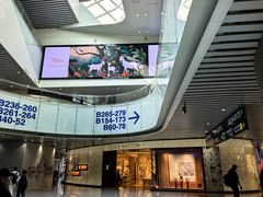 -广州白云国际机场-T2航站楼