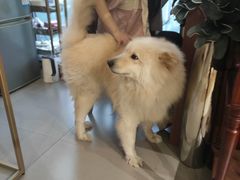 -肆兮眼镜·蔡司·徕卡战略合作店(大坪店)