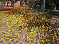 -长白岛森林公园