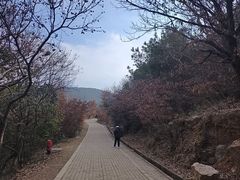 -虞山风景区